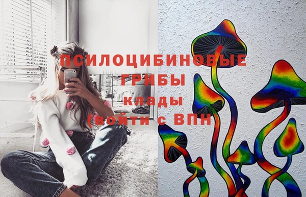 винт Богданович